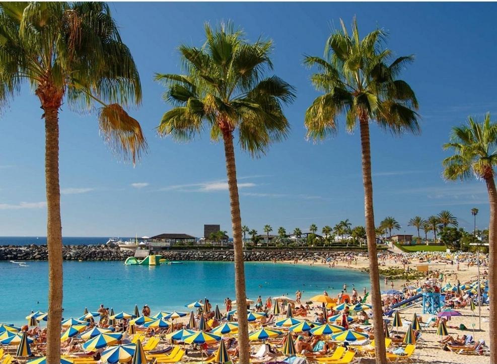 Aeropuerto Gran Canaria Apartamento Vacacional Carrizal Dış mekan fotoğraf
